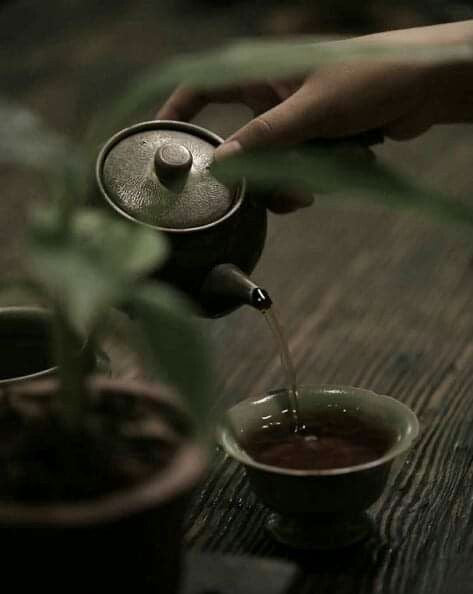 Théorème Infusions — L’art de revenir à l’essentiel